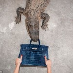 article-2628578-1DD810AF00000578-383_634x475