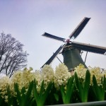 moinho-por-tati-barros-2