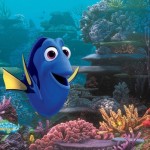 dory