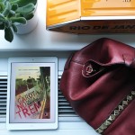 garota-no-trem-resenha-livro