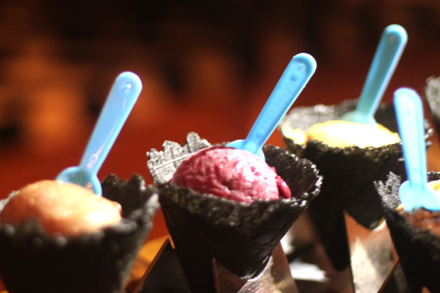 elena-four-seasons-buenos-aires-1