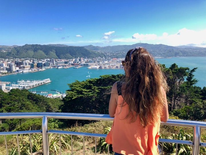 Mount Victoria Lookout